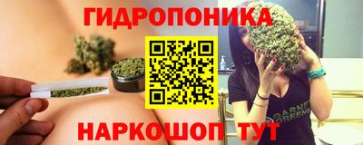 тгк Канаш