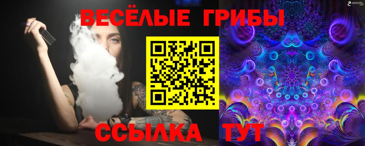 Галлюциногенные грибы Psilocybine cubensis Кулебаки